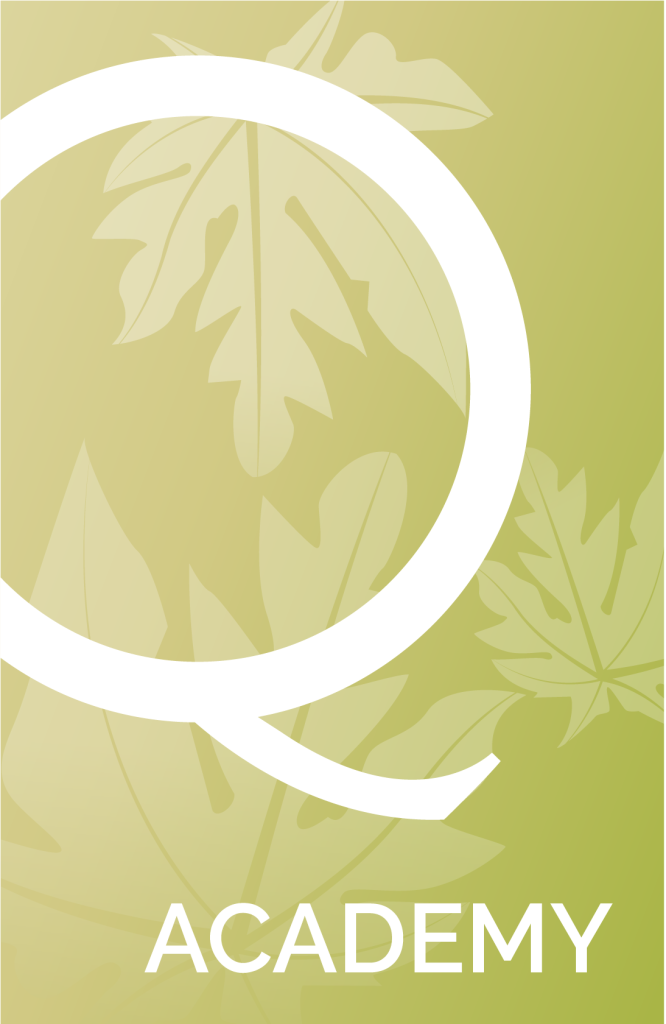Q Academy
